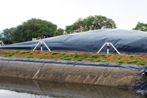 La correcta disposición contribuye a prevenir focos de insalubridad y mantiene un entorno urbano más ordenado.  La Dirección de Limpieza de Torreón intensificó