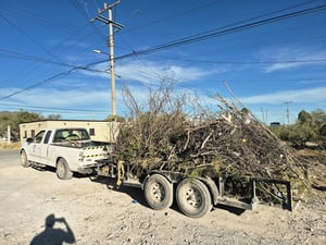 Siguiendo las indicaciones dela Alcaldesa Yesica Sifuentes Zamora, personal del Departamento de ServiciosPrimarios continúa realizando intensas jornadas