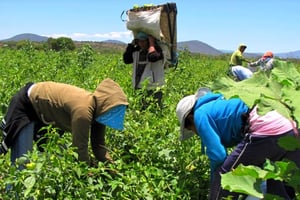 El Consejo Nacional Agropecuario destacó que el gobierno atendió entre 18 y 20 observaciones a la Ley General de Aguas tras un diálogo constructivo, logrando