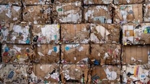 La gestión de residuos y su adecuado tratamiento es uno de los desafíos más importantes en la lucha por un medio ambiente más limpio y saludable. En este