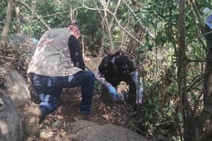 Durante una jornada de búsqueda en colonias urbanas de Acapulco, un colectivo ciudadano localizó restos óseos en una zona cercana al Parque Nacional