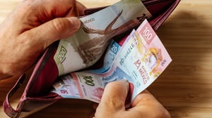    En México, las encuestas oficiales sobre ingresos y gastos de los hogares revelan realidades que parecen dibujar dos paisajes distintos de la misma