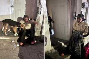 Vecinos de la Zona Centro pensaron que había perdido la vida.  Una intensa movilización de autoridades municipales, entre ellas Protección Civil y el cuerpo