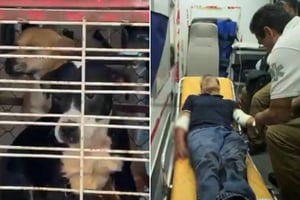 Un hombre fue atacado por perros mientras caminaba por la Colonia Real, en Guadalajara, lo que generó alarma vecinal y señalamientos directos contra el dueño