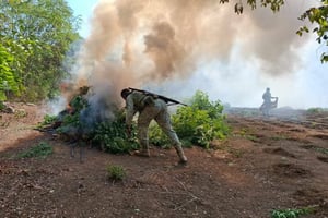 El Ejército Mexicano destruyó un plantío de marihuana con más de 4 mil 200 plantas, campamentos criminales y aseguró explosivos en Apatzingán, Michoacán.