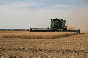 Los precios del trigo y la soja registran alzas tras los ataques rusos a puertos ucranianos, renovando temores sobre el suministro global de granos.