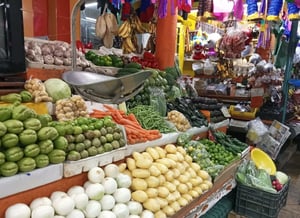 La inflación en México desaceleró más de lo esperado en la primera quincena de diciembre.   El Índice Nacional de Precios al Consumidor (INPC) registró
