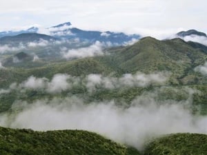 Medioambiente El proceso electoral ha acaparado la atención de la clínica, dejando de lado los problemas de insalubridad. El Plan de Manejo de la Reserva