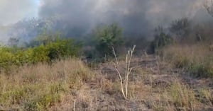 No pasó a mayores  Dos menores de edad ocasionaron un intenso incendio en un terreno baldío tras detonar pirotecnia, lo que provocó que el pastizal seco