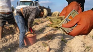 Los hogares mexicanos recibieron 5,125 millones de dólares en remesas durante noviembre, manteniendo un alto flujo mensual, aunque con una nueva caída anual,