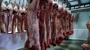 El decreto que fija cupos de importación de carne abre debate entre productores y analistas por su impacto en precios, inflación, abasto nacional