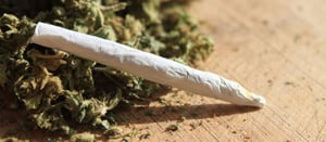 Según un estudio reciente, los adolescentes no necesitan consumir marihuana con mucha frecuencia para que esta tenga efectos negativos en su vida.  Incluso