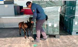 La Marina decomisó 19 mil 779.5 kilos de tabaco ilegal en el AICM provenientes de Japón, evitando evasión fiscal y afectaciones al mercado nacional.