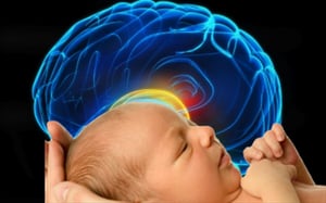 Las dificultades financieras que enfrenta una familia podrían afectar el desarrollo cerebral de un bebé y, con ello, influir en su trayectoria de vida, según