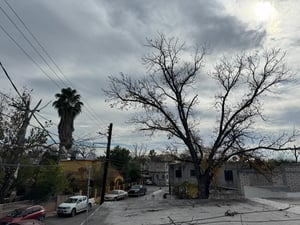 Temperaturas superiores, ríos con bajos niveles y ecosistemas alterados confirman una transformación climática que ya se percibe en la Región Carbonífera