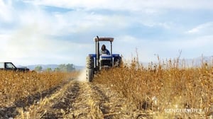 Coahuila cerró el 2025 con 71,8% de su territorio bajo condiciones de sequía, según datos del Monitor de Sequía de México (MSM), situación que impactó