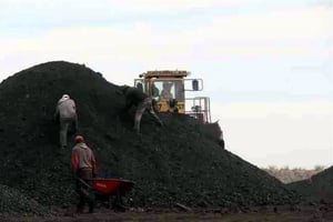 La Presidenta Claudia Sheinbaum defendió la diversificación en la compra de carbón de CFE, destacando el incremento de proveedores para la central