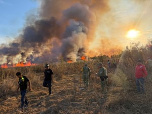 Se presumió que el incendio pudo haber sido provocado.  Un voraz incendio registrado en la colonia Las Aves, en el municipio de Frontera la tarde de este