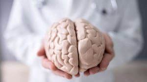Las neurociencias han sostenido tradicionalmente que el cerebro humano sigue un desarrollo progresivo y continuo: crece, alcanza la madurez, se mantiene