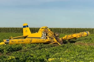 Una avioneta fumigadora se accidentó en campos agrícolas de Ahome, Sinaloa; el piloto resultó lesionado y fue trasladado a un hospital de Los Mochis.