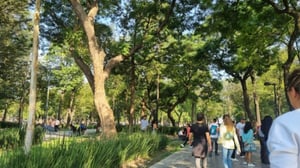 “Diversas investigaciones han mostrado una asociación entre el IMC y la demencia en la edad avanzada, y este trabajo sugiere que la presión arterial sistólica