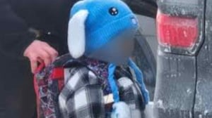 Liam Conejo Ramos, de cinco años, regresó a su hogar en Minnesota luego de que un juez federal ordenara su liberación tras permanecer detenido con su padre.