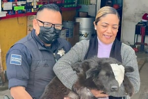 “La Negrita”, perrita rescatada por la unidad K-9 en Torreón tras un caso de maltrato animal, fue adoptada este sábado por una familia.  La mañana de este