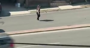 Derivado de la tendencia suicida que actualmente se presenta en la región norte del estado de Coahuila, donde principalmente jóvenes han intentado quitarse