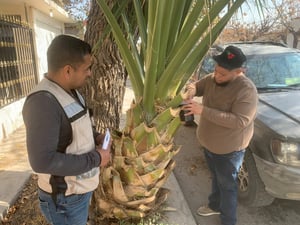 El Sector Salud intensificó acciones preventivas en Sabinas para combatir el dengue, con labores de control larvario y monitoreo del mosquito transmisor