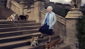 Muick y Sandy, los corgis favoritos de Isabel II, viven un traslado lleno de polémica y cambios familiares.  Tras la muerte de Isabel II en 2022, sus perros
