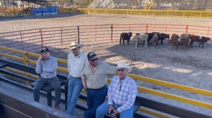 Vaqueros del Rancho Rodeo intensificaron su preparación en la Arena La Misión para la tradicional arreada de marzo, fortaleciendo técnica, coordinación