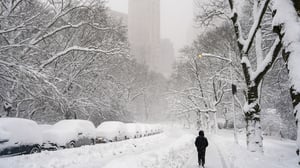 Una tormenta de nieve histórica azotó el noreste de EE. UU., paralizando transporte, escuelas y negocios, mientras millones enfrentan fuertes vientos y alertas