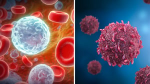 La Organización Mundial de la Salud (OMS) y el Centro Internacional de Investigaciones sobre el Cáncer (CIIC) dieron a conocer que cerca