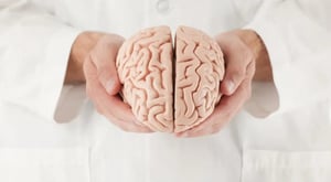Un metaanálisis llevado a cabo por investigadores de la Universidad de Cambridge encontró que el consumo de drogas psicoactivas —como anfetaminas, cocaína