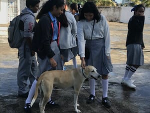 Autoridades educativas llaman a prevenir riesgos sanitarios ante presencia de garrapatas que transmiten la enfermedad.  Autoridades educativas en Coahuila
