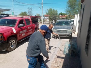 Protección Civil de Múzquiz intervino oportunamente ante un canino agresivo en zonas concurridas, asegurando la seguridad de vecinos y el bienestar del animal.