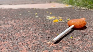 Es una escena muy habitual: un alimento cae al suelo y alguien lo recoge de inmediato pensando que aún es seguro comerlo.  Esta conducta se basa
