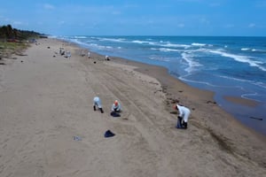 Petróleos Mexicanos destina 15 millones de pesos a pescadores afectados por derrame en Veracruz, mientras comunidades invitan a visitantes en Semana Santa.