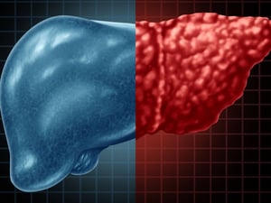 El hígado es uno de los órganos con mayor capacidad de regeneración del cuerpo humano, pudiendo recuperarse después de lesiones leves o incluso tras cirugías