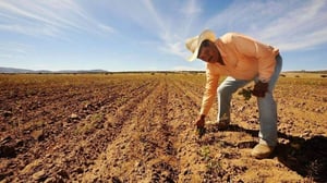 La falta de lluvias y el aumento en la intensidad de la sequía mantienen en alerta a la región norte de Coahuila, donde varios municipios registran condiciones