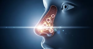 El ciclo nasal es un mecanismo fisiológico natural que regula la respiración mediante la alternancia del flujo de aire entre ambas fosas nasales.  Cada pocas