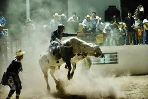 Coahuila vive una exitosa primera semana vacacional con alta afluencia turística y resultados positivos en economía.  Coahuila registró una alta afluencia