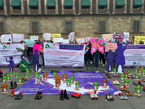 La Red Nacional de Refugios expresó preocupación por las condiciones y retrasos en el acceso a presupuesto federal, al considerar que ponen en riesgo