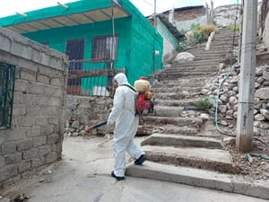 Tras las recientes precipitaciones registradas, la Dirección de Salud Pública Municipal, a través de su personal especializado en el área de Vectores,