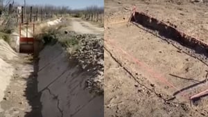 Familias del centro de Coahuila esperan hallar a sus desaparecidos entre restos recientemente identificados.  La confirmación de al menos 170 personas