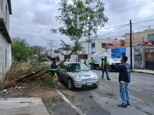 Comité de seguridad vecinal reportó el incidente a Servicios Primarios.  Las lluvias acompañadas de fuertes rachas de viento registradas durante la noche