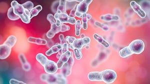 Un tratamiento oportuno con trasplante de microbiota fecal puede aumentar las probabilidades de supervivencia en personas con una infección grave