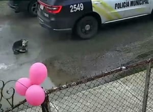 Un video difundido en plataformas digitales provocó una amplia discusión pública en Piedras Negras, luego de que se expusiera el momento en que una unidad