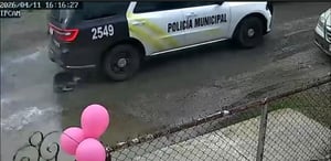 En medio de crecientes cuestionamientos sobre la responsabilidad ciudadana en el trato hacia los animales, más de 300 perros han sido reportados sin vida tras