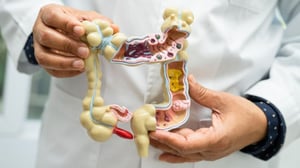 El cuerpo humano cuenta con un sistema natural de depuración altamente eficiente, en el que el hígado y los riñones desempeñan un papel central. No obstante,